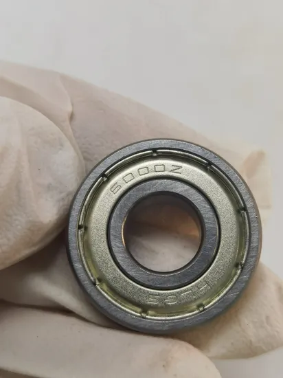 Hlgs Stainless Steel Transmission 6000 Motor Ball Bearing for Water Pump